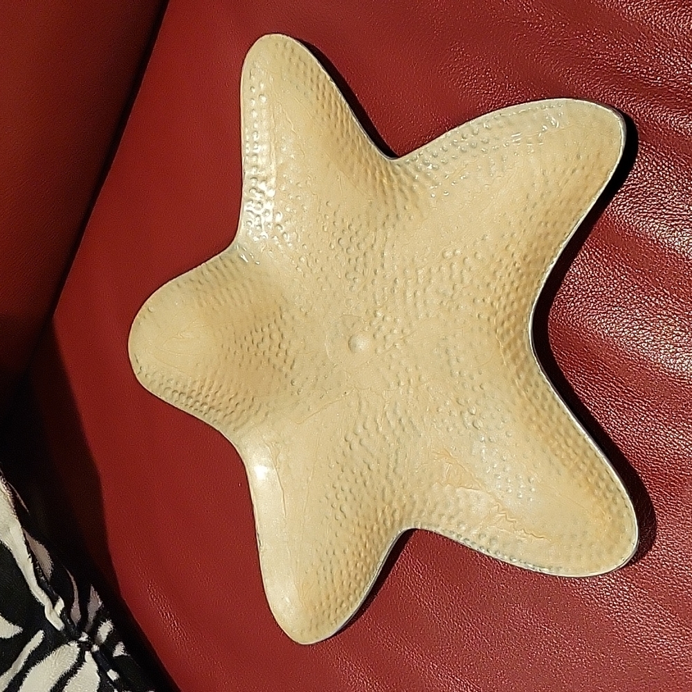 Starfish dish